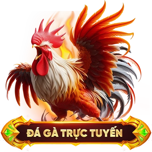 đá gà trực tuyến WIN789